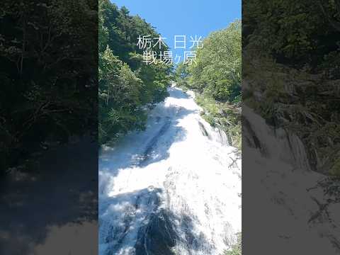 【音あり推奨】美味しい空気を深呼吸😮‍💨#栃木 #日光 #戦場ヶ原