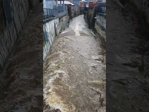 Hobart Rivulet 2 September 2024.