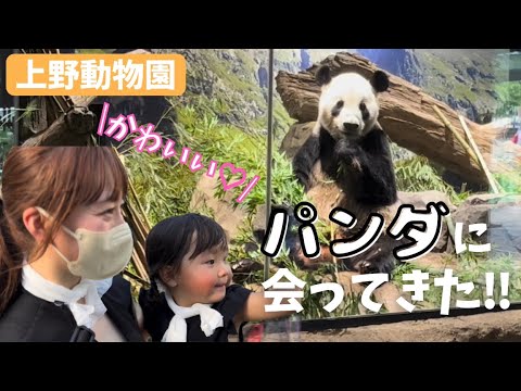 【上野動物園】人生初パンダに大興奮！｜2歳3ヶ月 成長記録