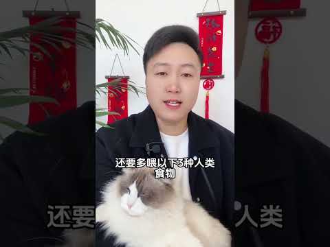 想要猫咪多陪你几年，就千万不要喂这两种食。 养猫经验分享 科学养宠攻略  鱼油鸡心 宠物零食 新手养猫