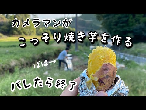 サツマイモを収穫して焼き芋にしてみた！【安納芋】家庭菜園