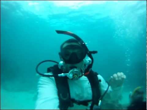 GoPro: Diving with Goliath Groupers