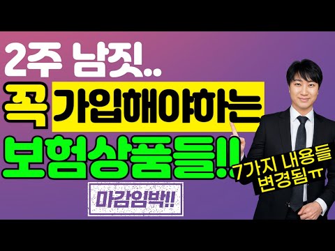 2주남짓...꼭 가입해야하는 보험상품들!!