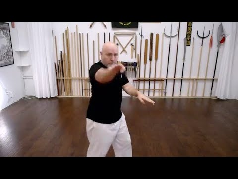 Fujian White Crane Kung Fu - Morning Warmup (from Live feed)