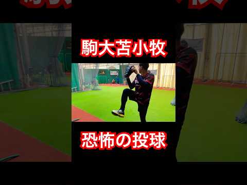 駒大苫小牧→元クーニンズおっち恐怖の投球。#shorts