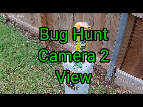 (1440) Bug Hunt Camera 2  View