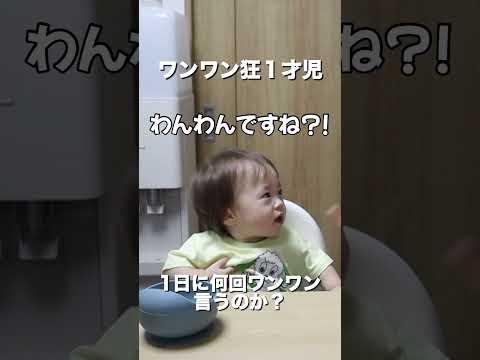 ワンワン狂の１才児がやばすぎるwwwwwww