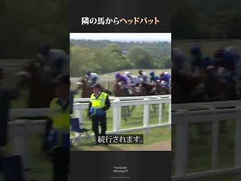 隣の馬からヘッドバット