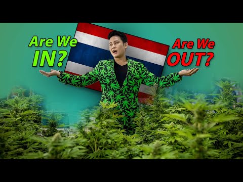 The Politics of Cannabis in Thailand