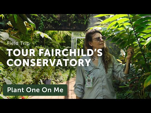 What's New with FAIRCHILD CONSERVATORY Tour — Ep. 343