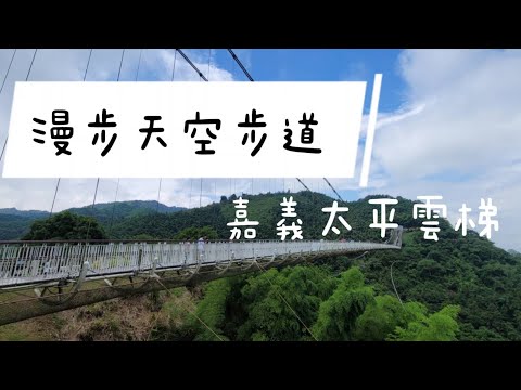 嘉義梅山旅遊｜漫步雲端│太平雲梯│全台最高海拔吊橋