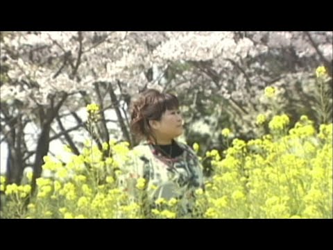 【MV】天童よしみ/花筏-Hanaikada-（full.ver）