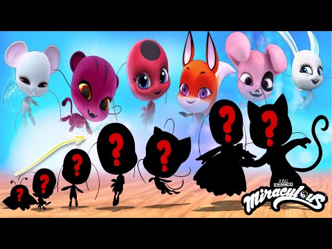 Miraculous Ladybug Kwamis Growing Up Compilation | Cartoon Wow