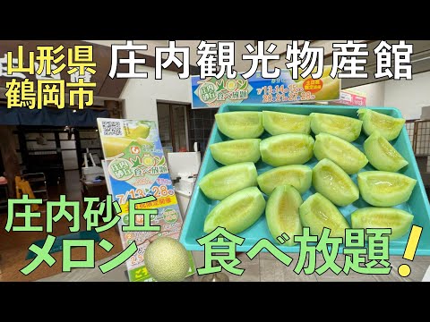 【食べ放題】庄内砂丘メロン食べ放題！(2024.07.28)