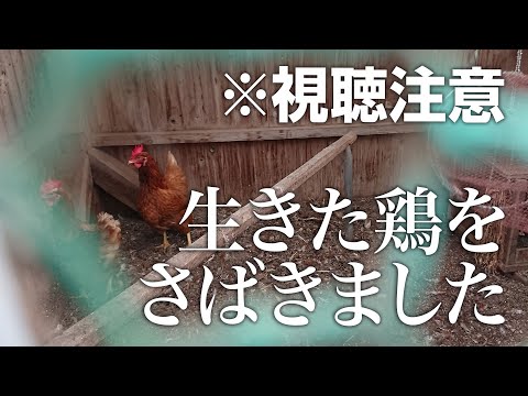 【視聴注意】生きた鶏をさばきました