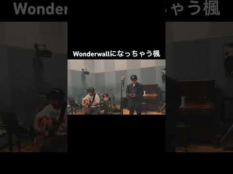 "楓" (スピッツ) w/ 島田 諭 #shorts #楓 #スピッツ #OASIS #wonderwall #ギターレッスン #弾き語り