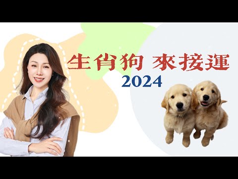 来查看生肖狗2024运势指南！｜生肖蛇运势预测｜运势指南