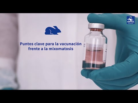 Puntos clave para la vacunación frente a la mixomatosis