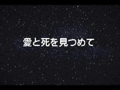 愛と死を見つめて　～エアロフォンで吹いてみた