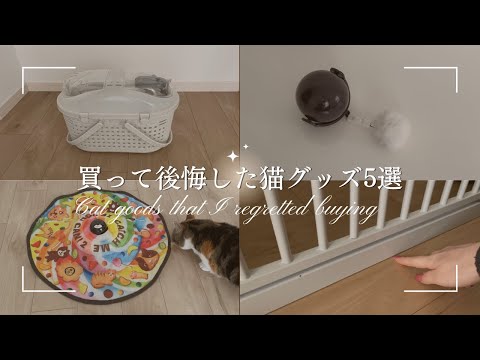 【猫と暮らす】買って後悔した猫グッズ5選｜猫3匹と暮らす私がこれは違った…と思う物を紹介