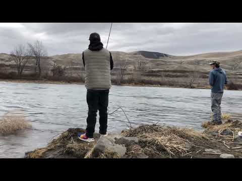 Carp!!! Nope 🤩🎣(Stealhead) Spillway Fishing (Unexpected PB) #fishing #subscribe #stealhead