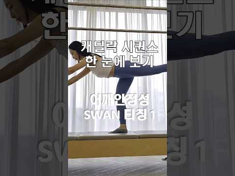 캐딜락시퀀스 | swan 으로 가는 방법 | 어깨 안정성 #shorts #쇼츠 #캐딜락시퀀스 #필라테스시퀀스 #필라테스지영쌤 #오운완 #swan