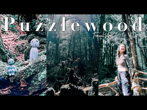 𝐕𝐥𝐨𝐠 英國森林遊Puzzlewood｜搵到宮崎駿？Star War都係度拍？見到最攪笑的雞 #親子遊   UK one of the Most Beautiful Forest （CC）