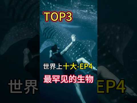 世界上最罕见的生物Top 10👍 EP4 为你揭晓前三名！ #top10  #世界奇聞  #世界之最 #奇趣 #未解之谜 #诡异 #finalepisode #动物