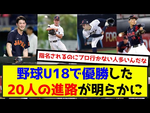 野球U18で優勝した20人の進路が明らかに（なんj.2ch.5chまとめ）