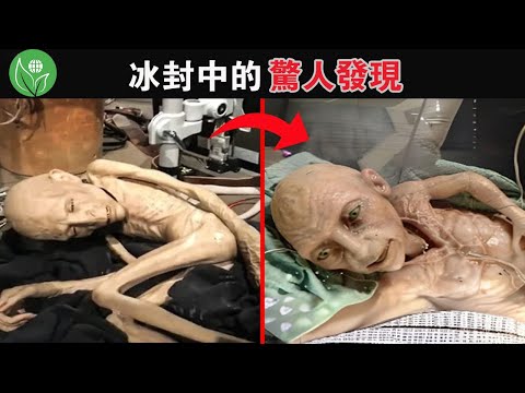 近期在南極洲發現被冰封四千年前的生物，怎麼會那麼像外星人？永久凍土層中的這些冰封奧秘，震驚了全世界！ #探索旅行號 #排名 #冷知識 #top10  #世界之最 #地球最TOP #冰中發現