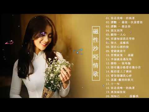 醉美傷感女聲 HIFI 磁性傷感重音大放送 超好聽 Beautiful Chinese Songs