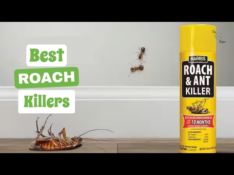 Best Roach Killers: Say Goodbye to Unwanted Guests for Good! | The Guardians Choice