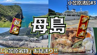 [母島] 父島に行ったら必ず観光！見どころの集約あり！小笠原名物「お見送り」リピートしちゃう！