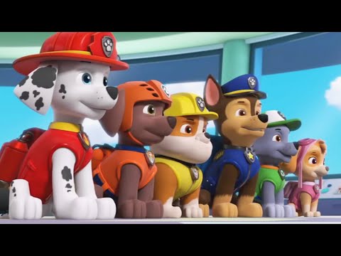 PAW Patrol Academy - Play Pupsome Rescue Team, Chase, Rubble, Marshall - Educational Games For Kids