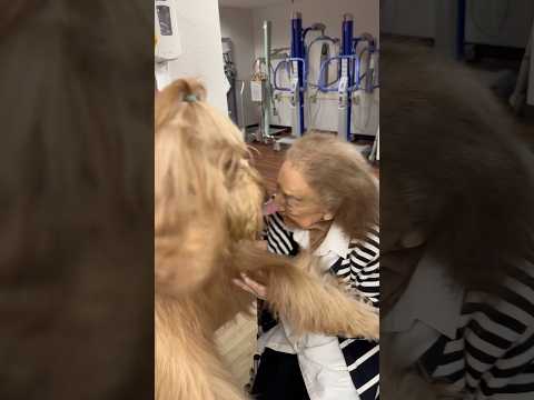 Therapy Dog’s First Nursing Home Visit! #grandparentsday #goldendoodle #therapydog #spreadsmiles