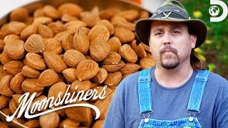 Best Fall Moonshine Flavors 🍂 Moonshiners | Discovery