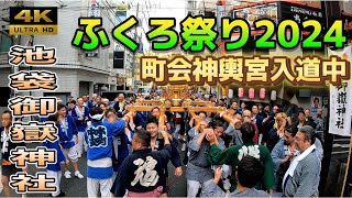 【池袋ふくろ祭り2024】神輿パレードが熱い！（御嶽神社例大祭）宮入道中