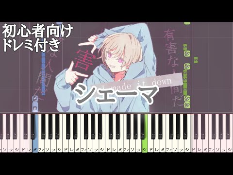 シェーマ / Chinozo 【 初心者向け ドレミ付き 】 ピアノ 簡単 簡単ピアノ