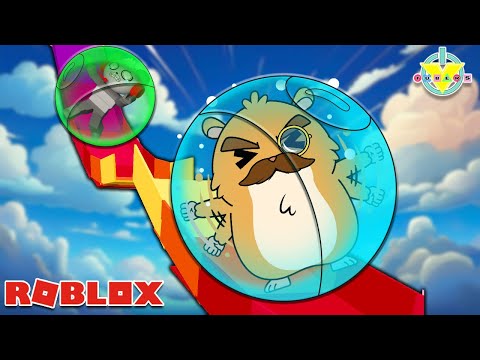 Packrat HACKED Robo's Account to play ROBLOX Hamster Ball Obby!