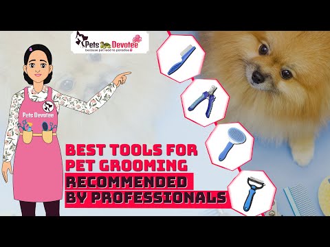 Best Pro Pet Grooming Tools You Need  | Pet Care Expert