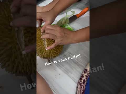 HOW TO OPEN DURIAN I VERY DIFFICULT TO OPEN I TECHNIQUE HOW TO OPEN #share  #durian #like  #food