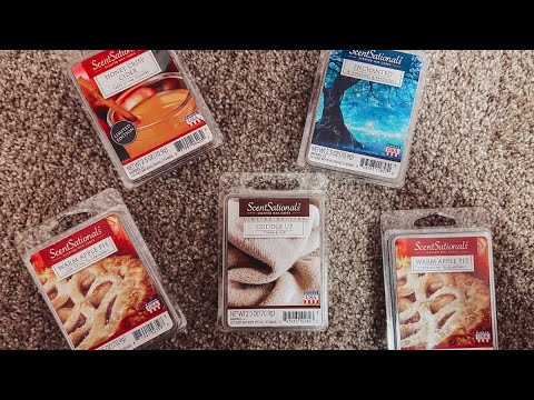 Walmart Wax Haul | NOVEMBER 2020