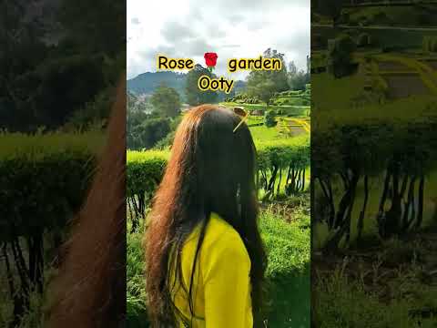 Government Roses 🌹 Garden Ooty, Botanical garden Ooty. #song #rel #lovesong #krishpykanix #ytshorts