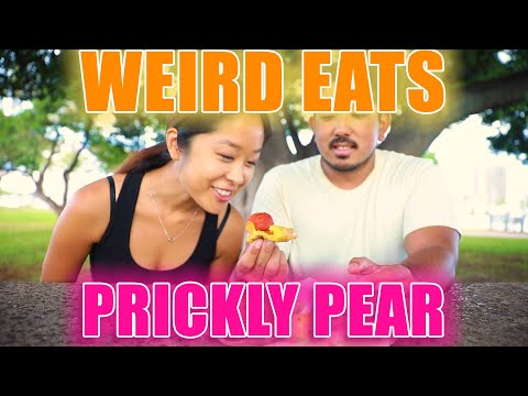 HAWAII EXOTIC FRUITS-  Trying prickly pear for the first time