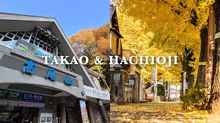 Tokyo Vlog | Things to do in Mt. Takao,  Autumn leaves & Hachioji Gingko mainstreet (CC Subtitles)