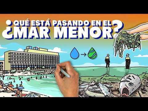 ¿Qué está pasando en el Mar Menor?