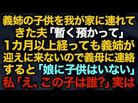 【スカッとする話】義姉の子供を我が家に連れてきた夫「暫く預かって」１カ月以上経っても義姉が迎えに来ないので義母に連絡すると「娘に子供はいない」私「え、この子は誰？」実は【修羅場】