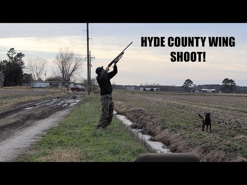 DUCK-N-HYDE WING SHOOT!