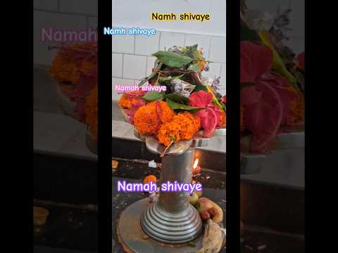 Omh namah shivaye #dhadhaini_paantee #shortvideos #mahadev #mahadevstatus