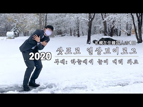 2020 삿포로 일상 브이로그 I 북해도 I 홋카이도 I 일본직장인 I 일본회사원